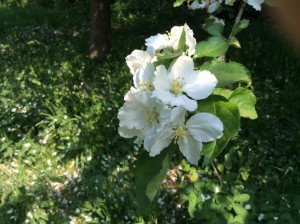 blog 5